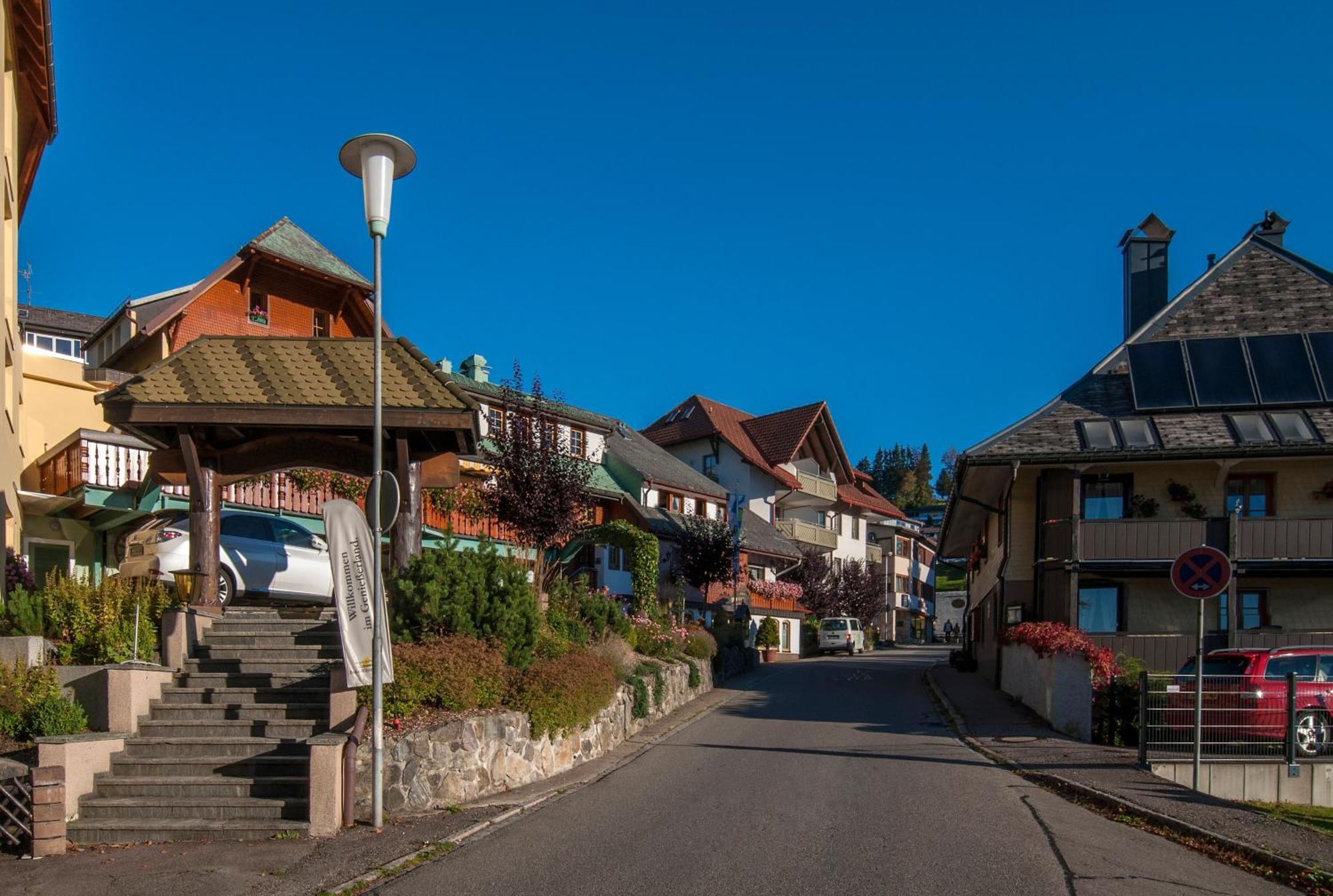 Apartment 06 - Ferienresidenz Roseneck, 2 Schlafzimmer, Mit Schwimmbad In Todtnauberg Bei Feldberg 外观 照片