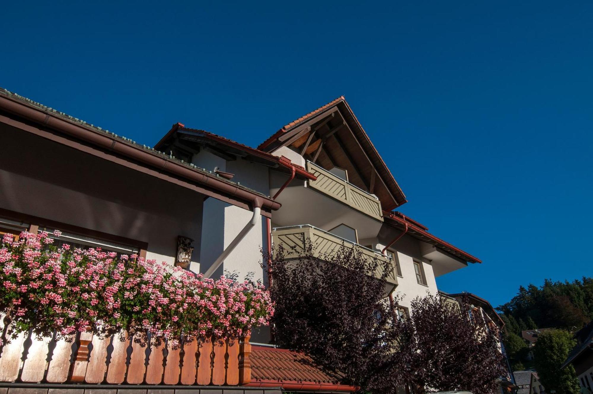 Apartment 06 - Ferienresidenz Roseneck, 2 Schlafzimmer, Mit Schwimmbad In Todtnauberg Bei Feldberg 外观 照片