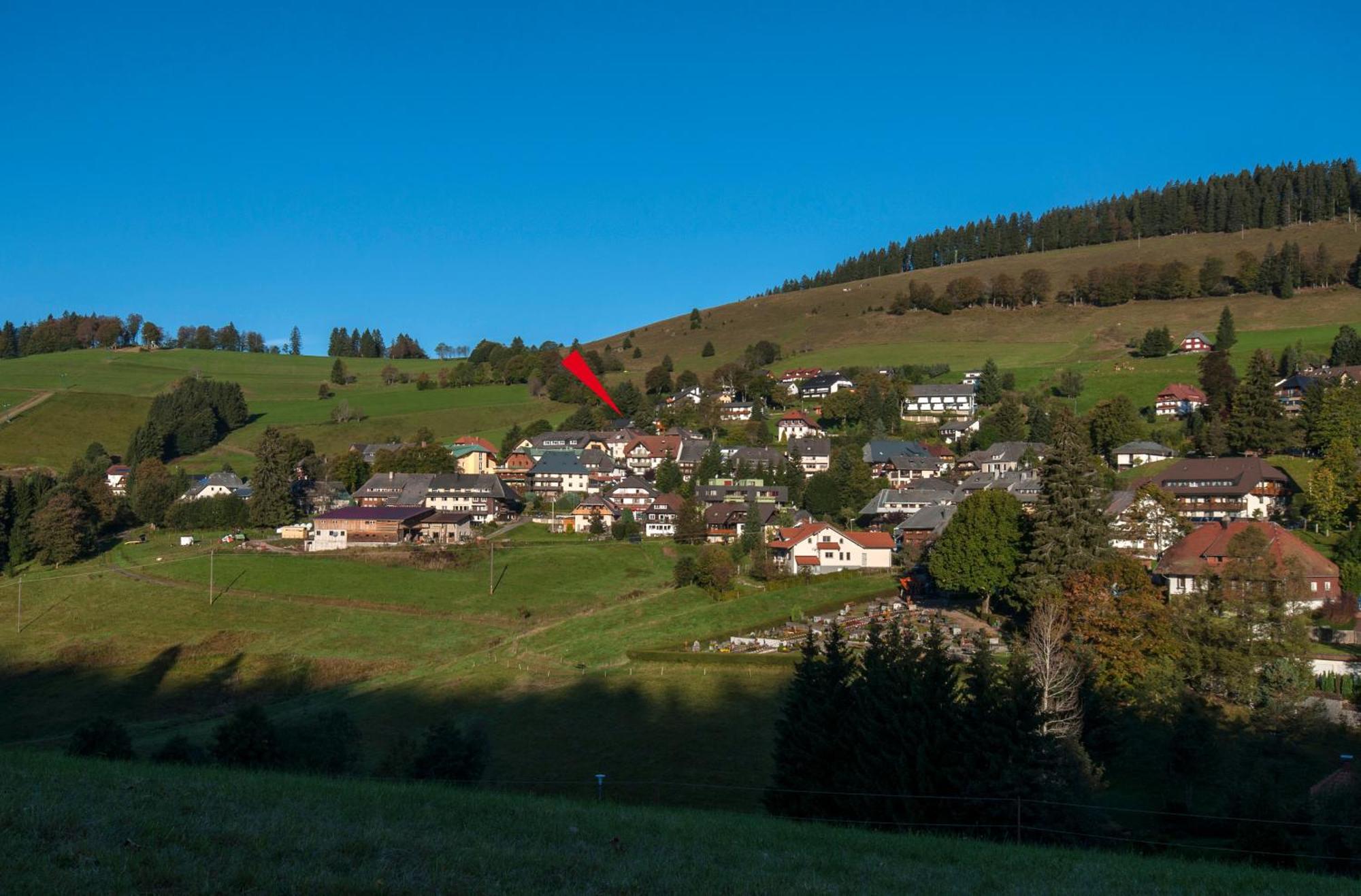 Apartment 06 - Ferienresidenz Roseneck, 2 Schlafzimmer, Mit Schwimmbad In Todtnauberg Bei Feldberg 外观 照片